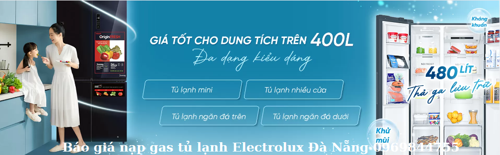 Nap Gas Tu Lanh Electroluc Da Nang 0969844755