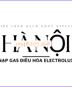 Nap Gas Dieu Hoa Electrolux
