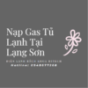 Nap Gas Tu Lanh Tai Lang Son