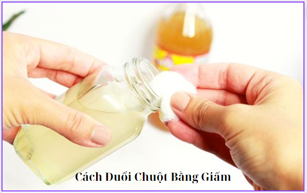 Cach Duoi Chuot Ban Giam