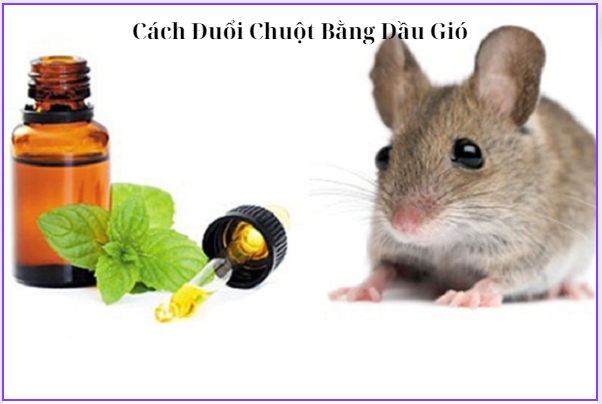 Cach Duoi Chuot Bang Dau Gio 0889164555