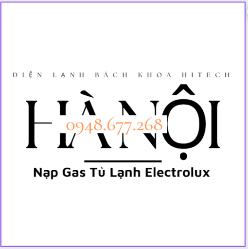 Nap Gas Tu Lanh Electrolux