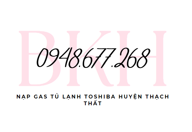 Nap Gas Tu Lanh Toshiba Huyen Thach That