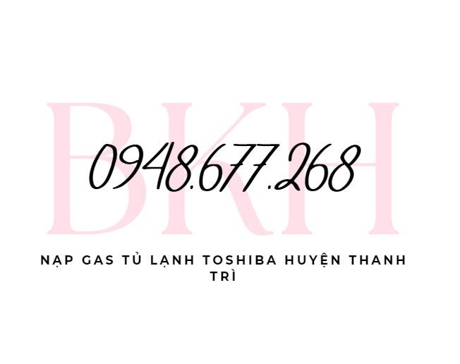 Nap Gas Tu Lanh Toshiba Huyen Thanh Tri 1